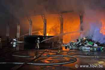 Zware brand bij recyclagebedrijf Gielen in Genk: “Enkele dagen inactief”
