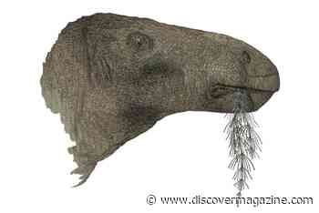 Most Complete Dinosaur Fossil Found In U.K. Was 125 Million Years Old