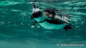 5 Linux terminal apps that are better than your default (and why)