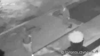 Wanted suspects appear to film themselves firing shots at home in King Township