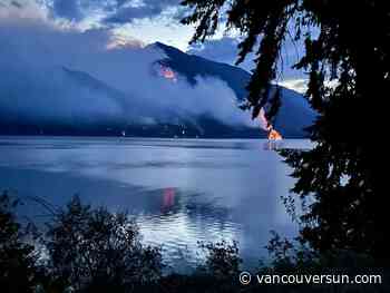 B.C.'s old-growth forest plays critical role in wildfire resiliency, says Valhalla Wilderness Society