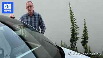 Some EV-buyers boycott Tesla as Elon Musk backs Trump