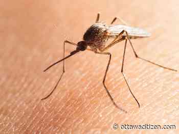 Two human cases of West Nile Virus confirmed in Ottawa