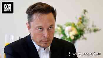 Does Tesla have a Musk problem? Data shows its reputation in Australia is tanking as sales fall