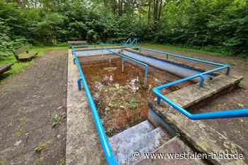 Wann das Tretbecken in Warburg-Germete endlich instandgesetzt wird