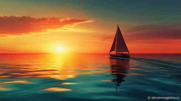 Deze bitcoin miljardair wil ook na zijn dood helpen met adoptie