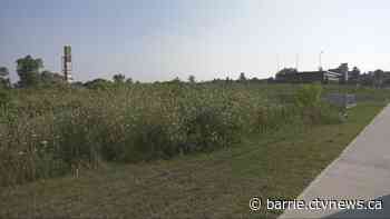 Widespread support for report calling for downtown revitalization