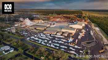 Major SA timber mill shut after death involving front-end loader