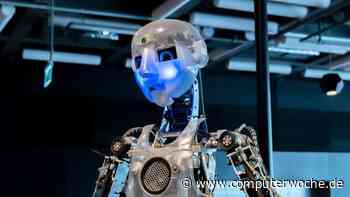 Humanoide Roboter sind ein Problem!