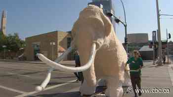 Mammoth move for mammoth sculpture