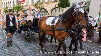Plärrer-Umzug ohne Pferde? Organisator und Kutscher ärgern sich über Vorstoß von Aktivisten