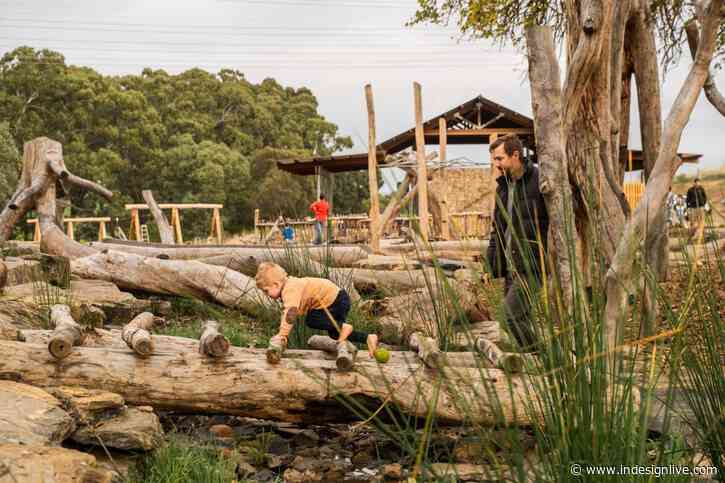 Comment: Innovative playground design sets new benchmark for outdoor play spaces