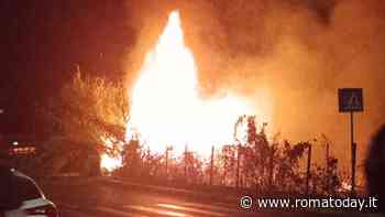 Incendio alla Giustiniana, fiamme minacciano le case. Roma brucia anche di notte