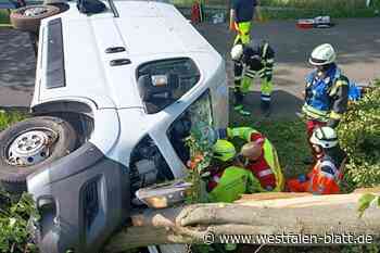 Schwerer Unfall bei Fürstenberg: Transporter kracht gegen Baum