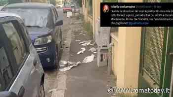 "Marciapiedi ridotti a discarica". La giornalista Luisella Costamagna denuncia, Ama interviene