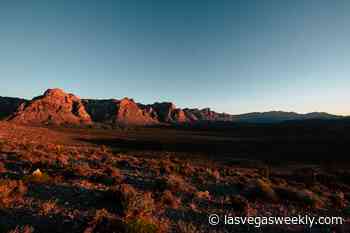 It’s time to put down that phone and pick up a proper camera