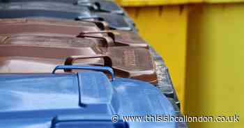 Two-week long bin strike begins