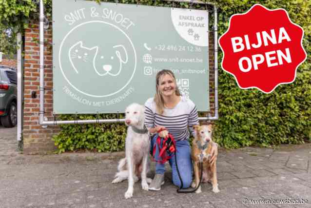 Dierenarts Anke (32) combineert creativiteit en medische kennis in nieuw trimsalon: Snit & Snoet