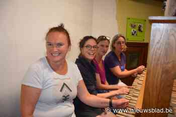 Leraressen academie wandelen in vier dagen naar Mechelen: “Omdat de beiaard ons verbindt’’