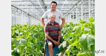 Komkommerteler terug in productie na tijdelijke verstoring
