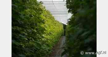 "Vraag naar Fins geteeld zachtfruit neemt toe"