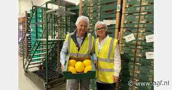 Stabiele prijs Costa Ricaanse meloenen op Europese markt