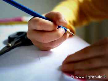 Addio anche ai grembiuli azzurri e rosa: in Puglia arrivano quelli verdi "contro gli stereotipi del genere" 