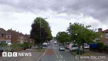 Cycleway plans spark petition to save 26 trees