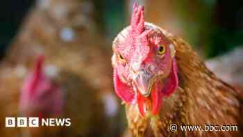 External probe into handling of poultry farm appeal