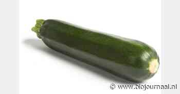 Delhaize roept bio-courgette terug wegens heptachloor