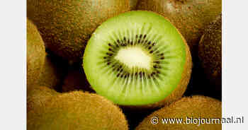 Zespri voorspelt recordoogst voor gangbare en biologische groene kiwi's