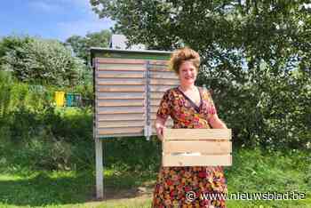 Dagbreek biedt picknick aan via koffers en kisten op gekoelde locatie: “En van de afwas hoef je je ook niets aan te trekken”