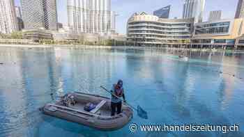 Neue Ansätze gegen die Wasserlücke
