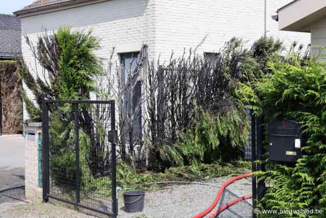 Haag aan chalet op camping vernield door brand