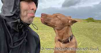 Liam Gallagher rescues stray 'half the world away' in moving tale by 'dog hero'
