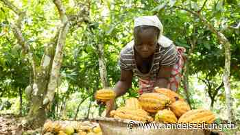 «Wir haben den fairen Handel in einem breiten Marktsegment verankert»