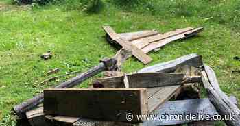 Anger after vandals destroy sculpture in much-loved North Tyneside community garden
