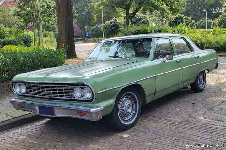 Chevrolet Chevelle is na zestig jaar nog altijd indrukwekkend - In het Wild