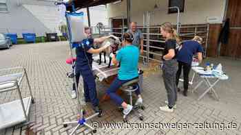 Wolfsattacke? Alles über den zweiten Riss nahe Wolfsburg
