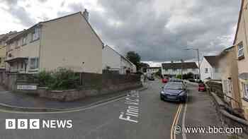 Cars damaged in suspected arson attack