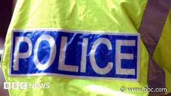 Woman attacked after garden furniture smashed