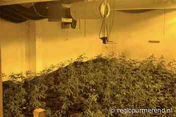 Hennepkwekerij ontdekt in bedrijfsunit Volendam
