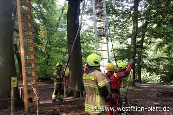Höhenretter müssen Jugendlichen aus dem Kletterwald abseilen