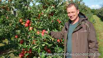 Wolfenbütteler Obstbauern stehen unter Druck