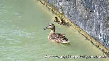 Eine kreative und schnelle Lösung