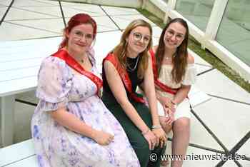 Onlinestemming Wieltjesambassadeur geannuleerd na gekochte likes