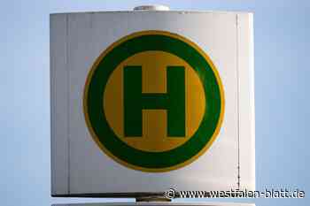 Willebadessener Schüler bekommen zum Schulstart das Deutschlandticket