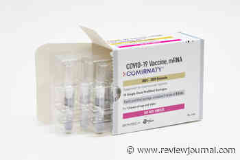 Updated COVID-19 vaccines are coming soon: Here’s what you should know
