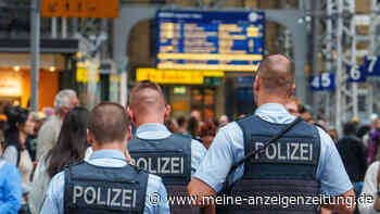 Nach Tötung am Hauptbahnhof in Frankfurt: Rufe nach Gepäckkontrollen – doch ist das realistisch?