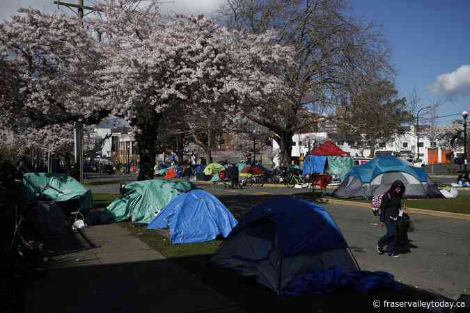 More shelter beds for people in Victoria street camp cited by police for ‘hostility’